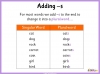 Adding s and es to Make Plural Words - Year 1 Teaching Resources (slide 6/25)